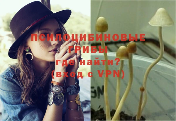 крисы Наволоки