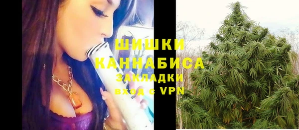 бошки Надым
