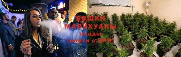 крисы Наволоки