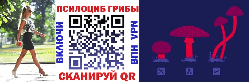 Псилоцибиновые грибы Cubensis  Купить закладки  Шумиха 